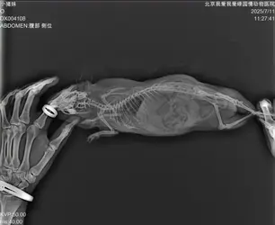 微信图片_20250714042601.webp