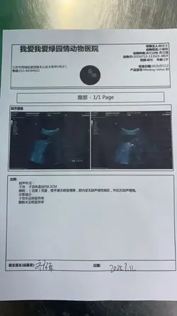 微信图片_20250714042618.webp