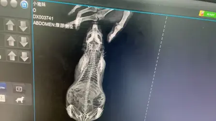 微信图片_20250714061315.webp