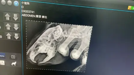 微信图片_20250714061301.webp