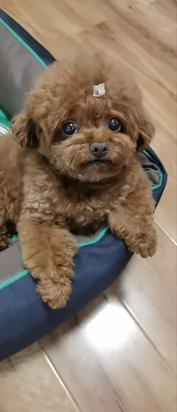 微信图片_20250716185640.webp