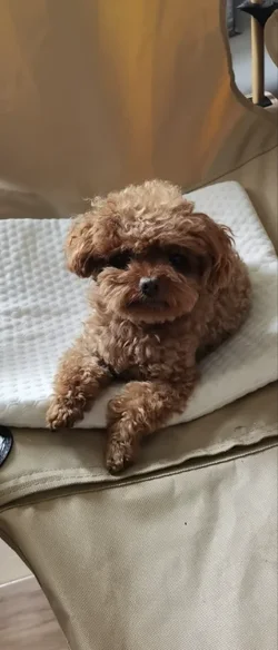 微信图片_20250716185646.webp