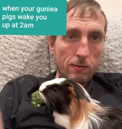 piggie 2.webp