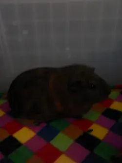2015-06-17 13.39.11.webp