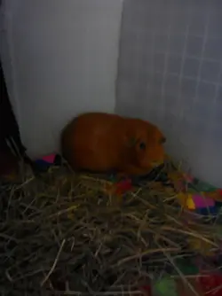 2015-06-17 13.39.05.webp