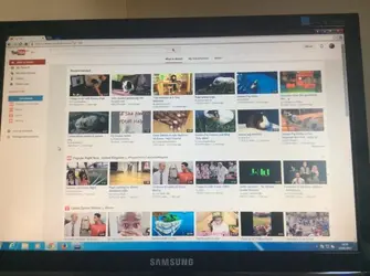 image.webp image.webp