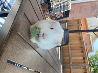 IMG_1431.webp