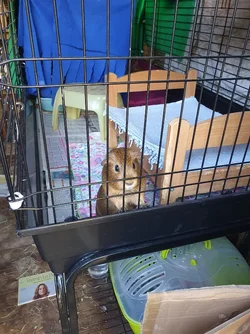 20250808_160957.webp