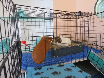 IMG_0472.webp IMG_0472.webp