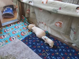 IMG_2106.webp IMG_2106.webp