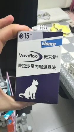 mmexport1760460081219.webp