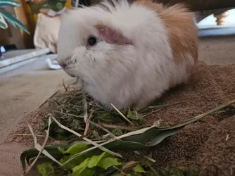 20251120_134819.webp