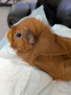 PXL_20250531_143438767.webp