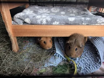 PXL_20260102_161536029.webp PXL_20260102_161536029.webp