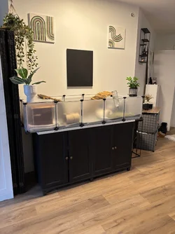IMG_6061.webp