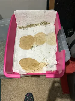 IMG_0063.webp