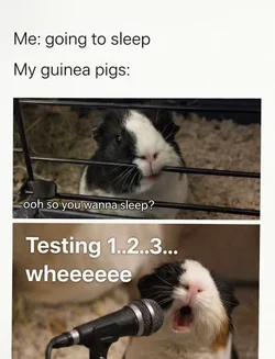1773612481979.webp
