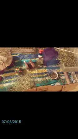 Screenshot_2015-07-05-06-15-18.webp