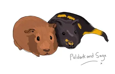 Poldark and Sage portrait.webp