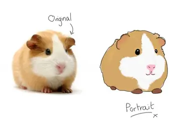 Demo portrait.webp