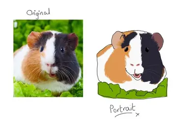 Demo portrait 2.webp