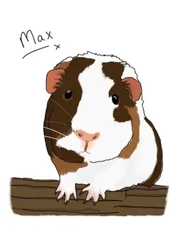Max Portrait.webp Max Portrait.webp