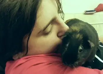 Kisses for Treacle.webp Kisses for Treacle.webp