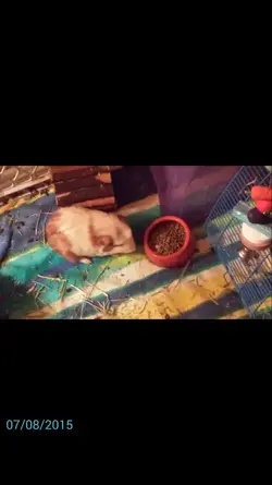 Screenshot_2015-07-08-00-59-56.webp
