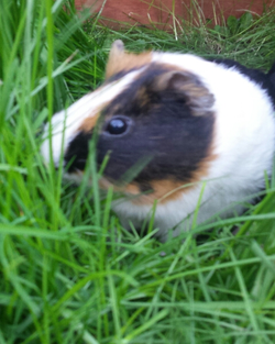 croppedPhoto1427223438278.webp croppedPhoto1427223438278.webp