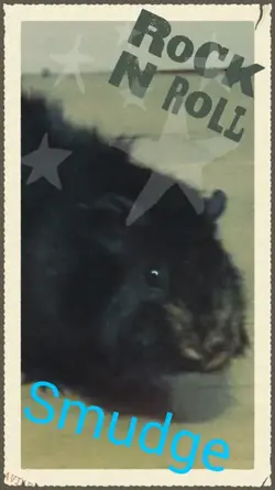 Screenshot_2015-07-09-14-56-51.webp