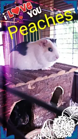 Screenshot_2015-07-09-14-57-05.webp