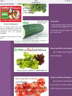 image.webp image.webp