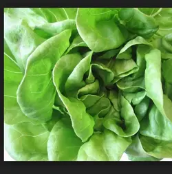 image.webp