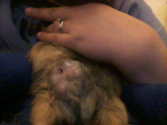 20150714_232723.webp