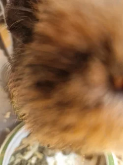 20260413_123359.webp 20260413_123359.webp