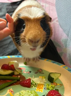 IMG_5977.webp