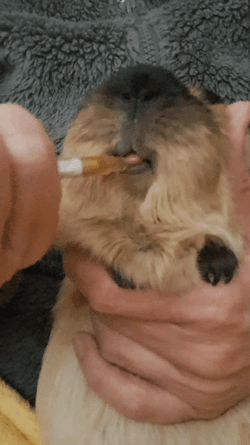 20260514_180536(1).gif