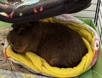 IMG_1240.webp