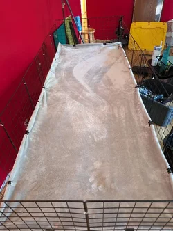 That same blanket pulled tight and cliped with multiple medium and small binder clips to the side of the cage. That same blanket pulled tight and cliped with multiple medium and small binder clips to the side of the cage.