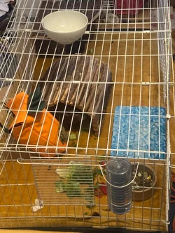 IMG_4327.webp