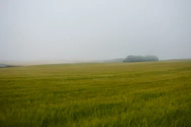 DSC_4049.webp DSC_4049.webp