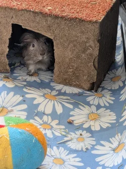 PXL_20260630_100702439.MP.webp PXL_20260630_100702439.MP.webp