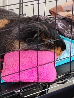 IMG_20260719_120540760.webp