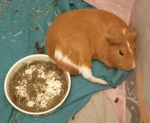 20260813_221416.webp