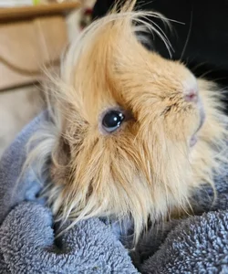 20260922_131058.webp