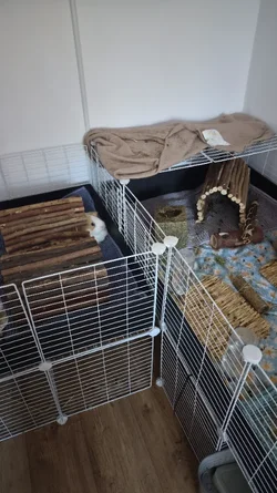 IMG-20261018-WA0006.webp