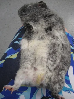 Christian relaxed while waiting for op.webp