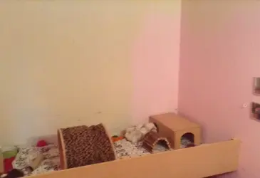 image.webp