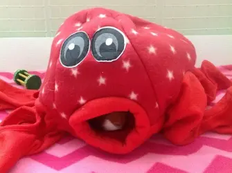 image.webp