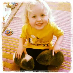 piggies (Small).webp